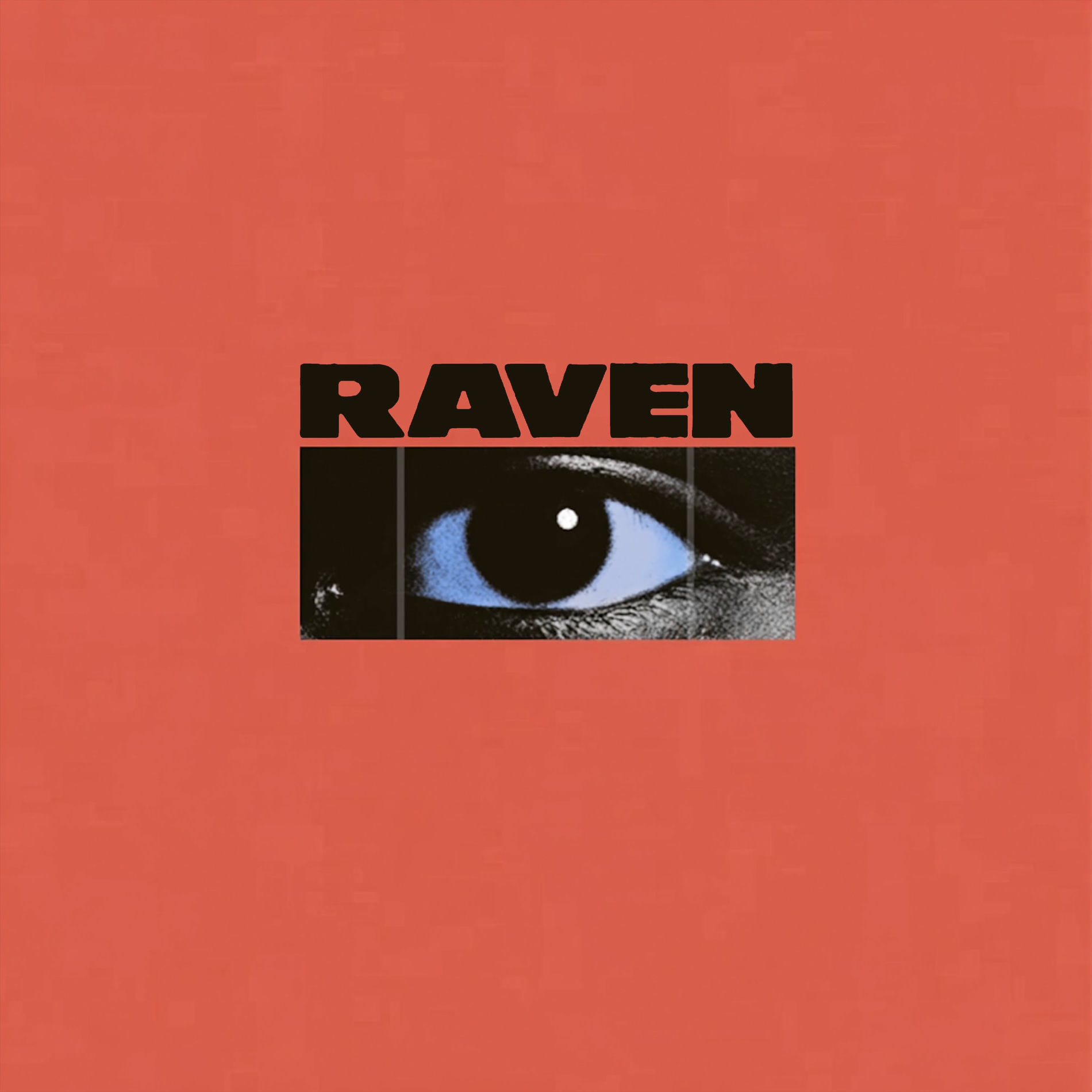 Album cover of RAVEN