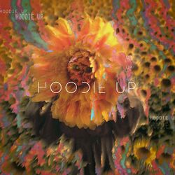 Cover of Hoodie Up