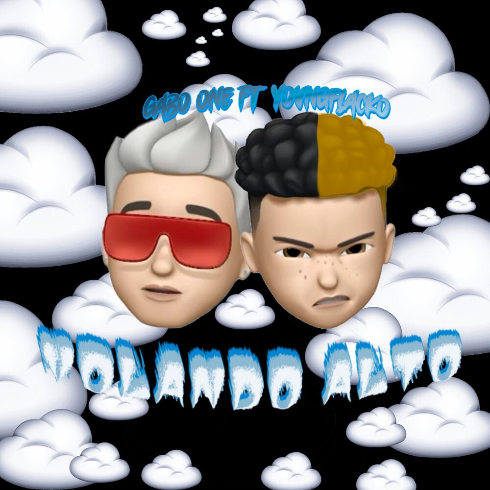 Picture of Volando alto
