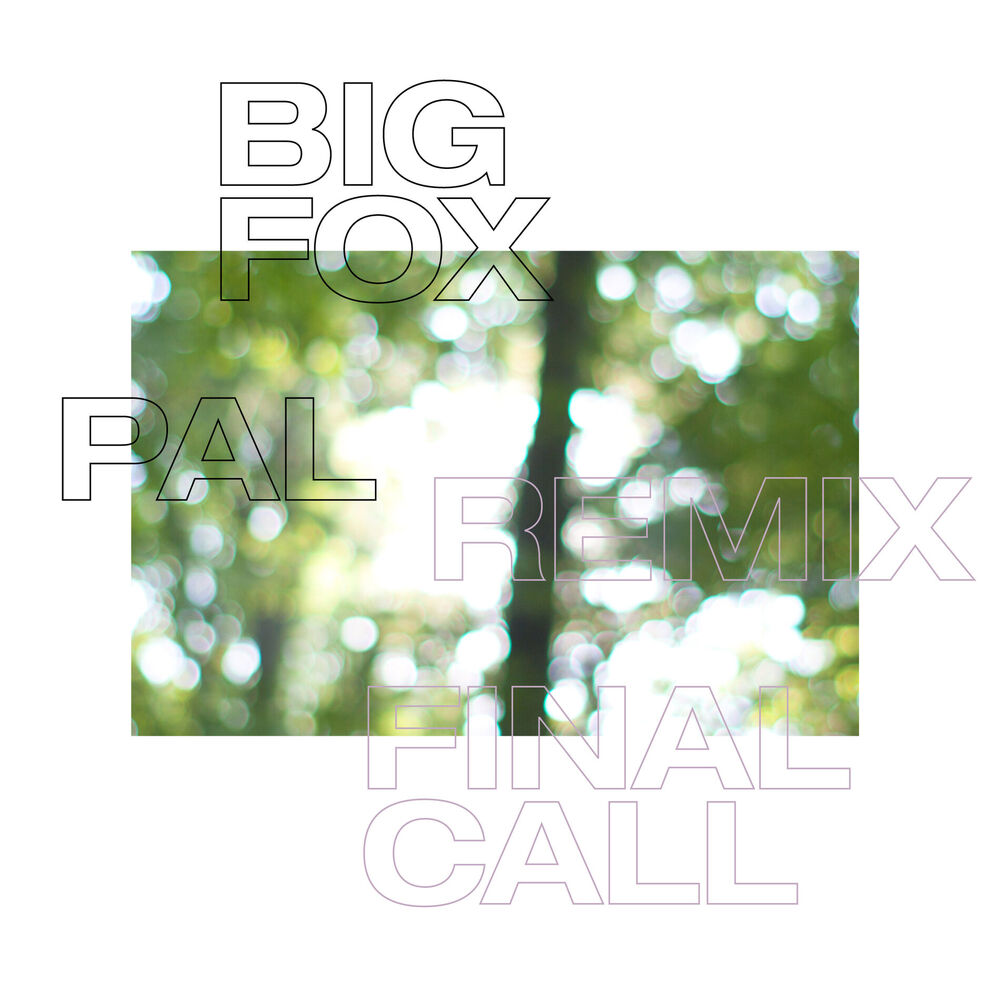 Picture of Final Call (PAL Remix)