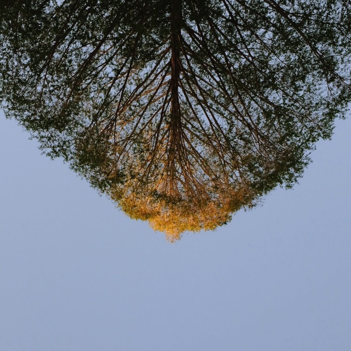 Album cover of You Are Coming Home