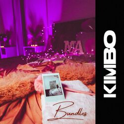 Cover of Bundles