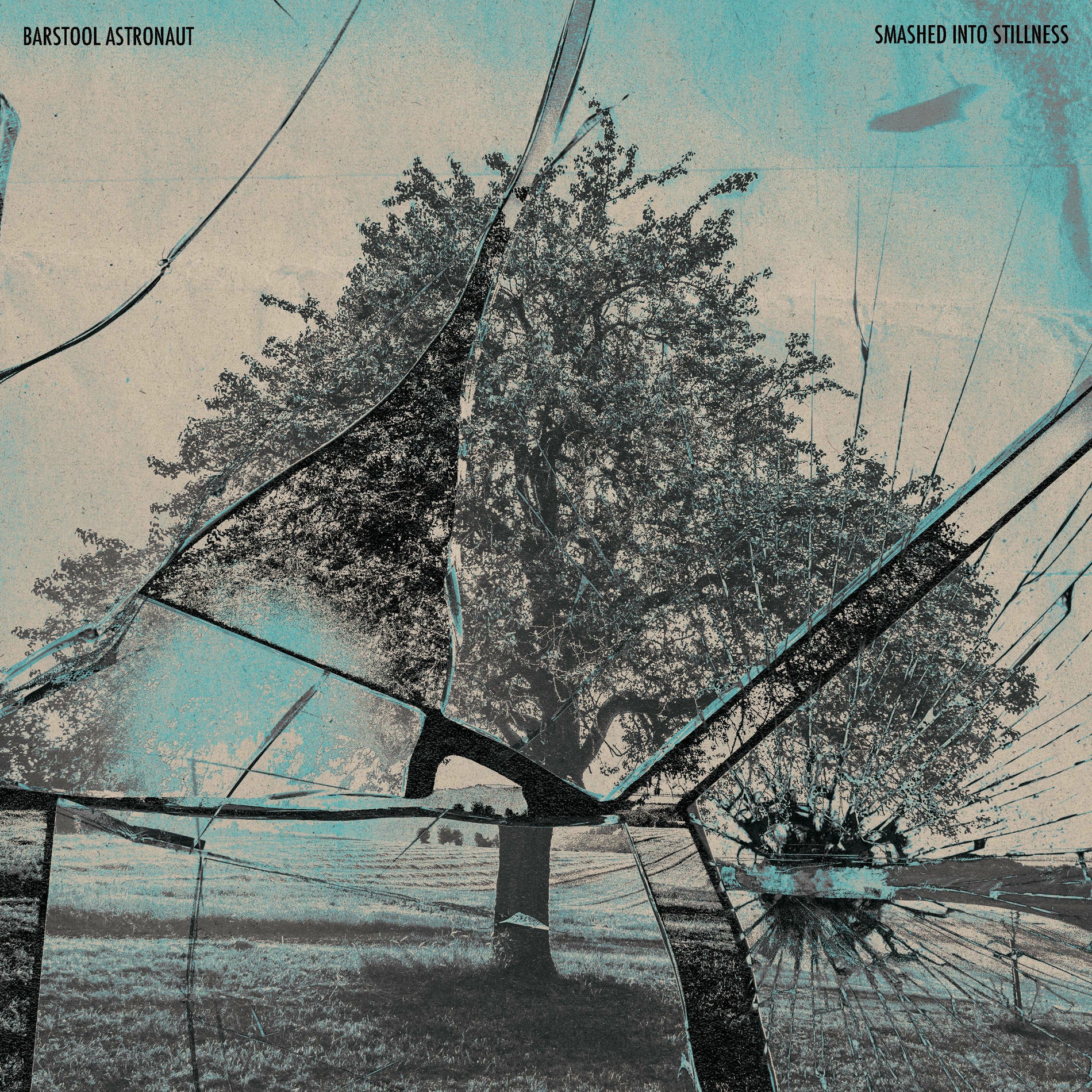 Album cover of Smashed Into Stillness