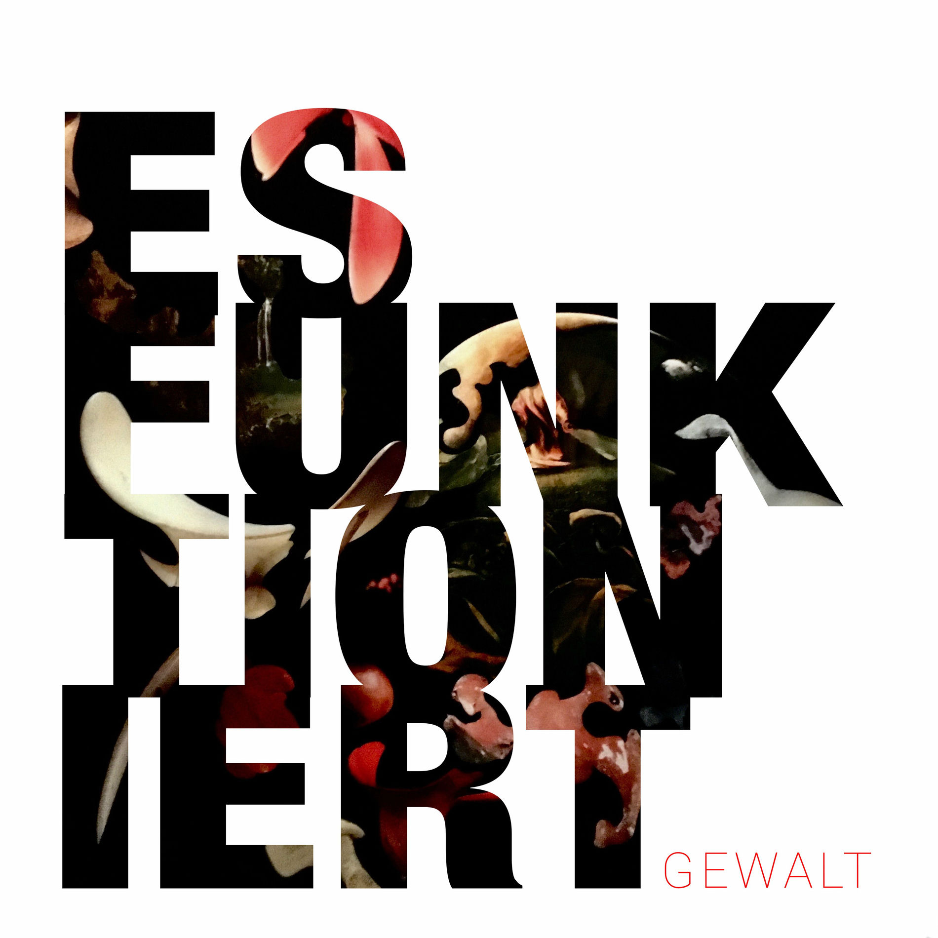 Album cover of Es funktioniert