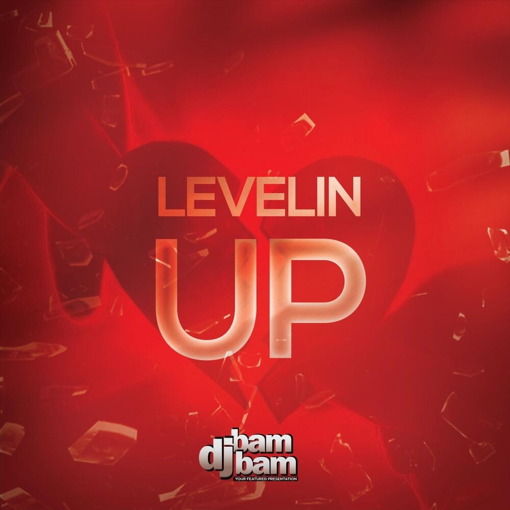 Picture of Levelin' Up