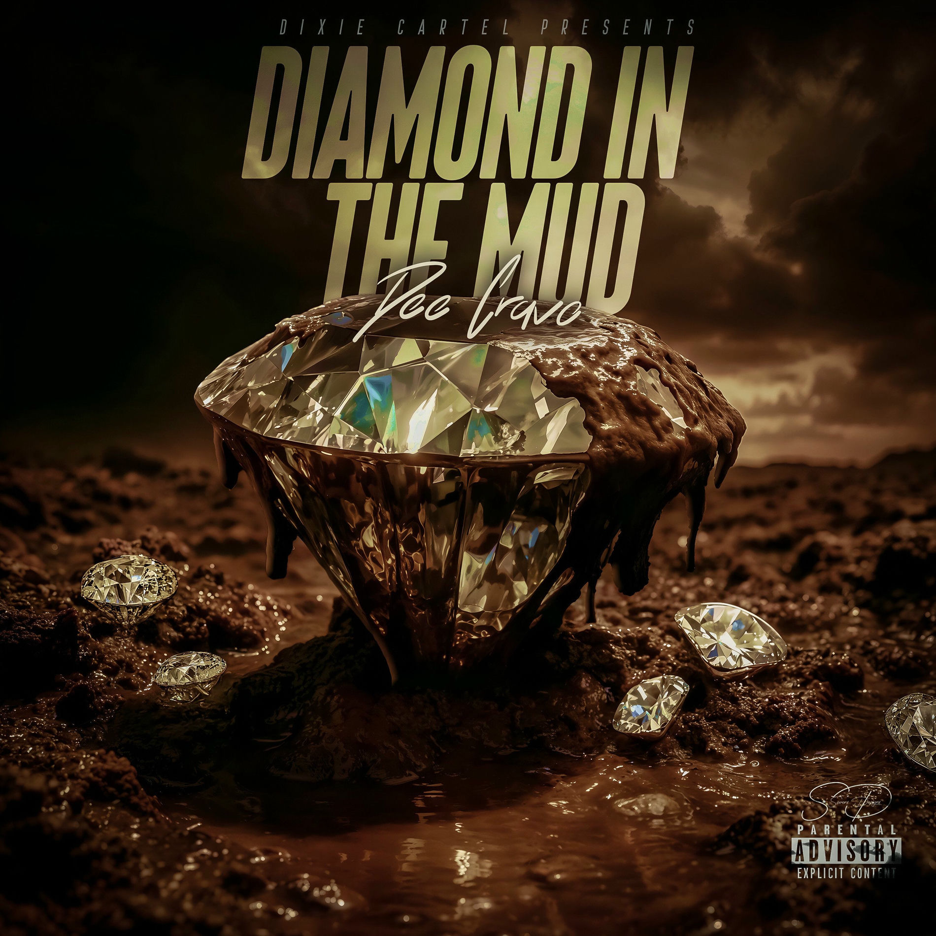 Album cover of Diamond in the Mud