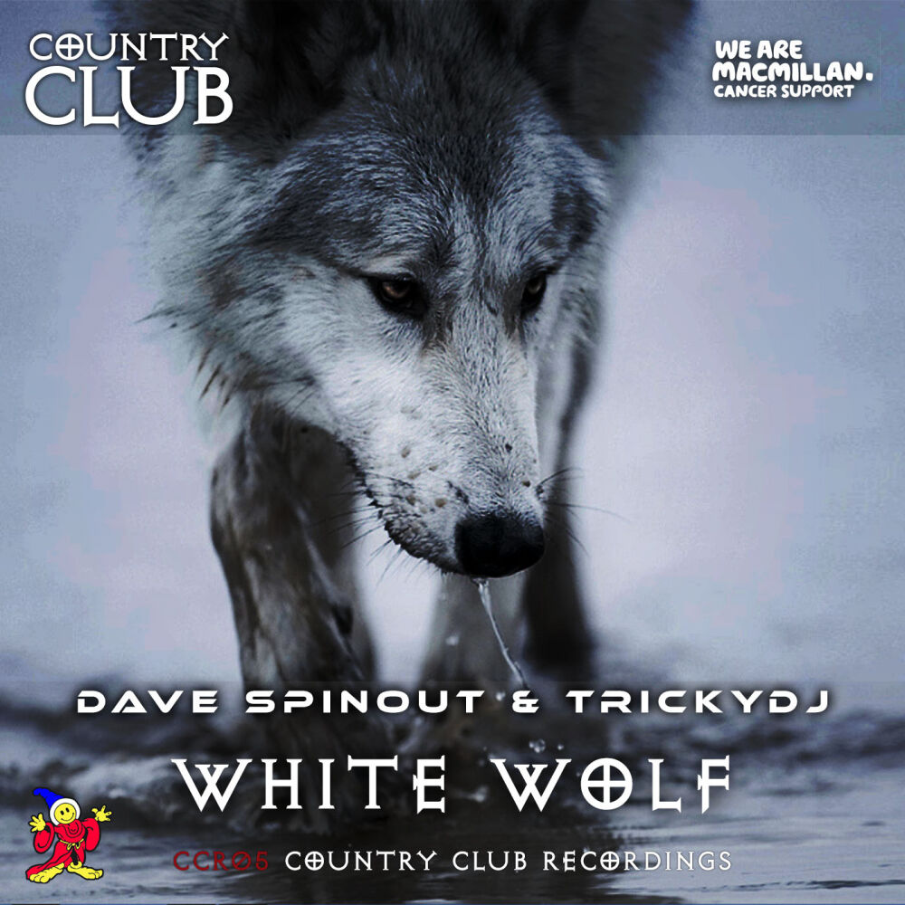Picture of White Wolf