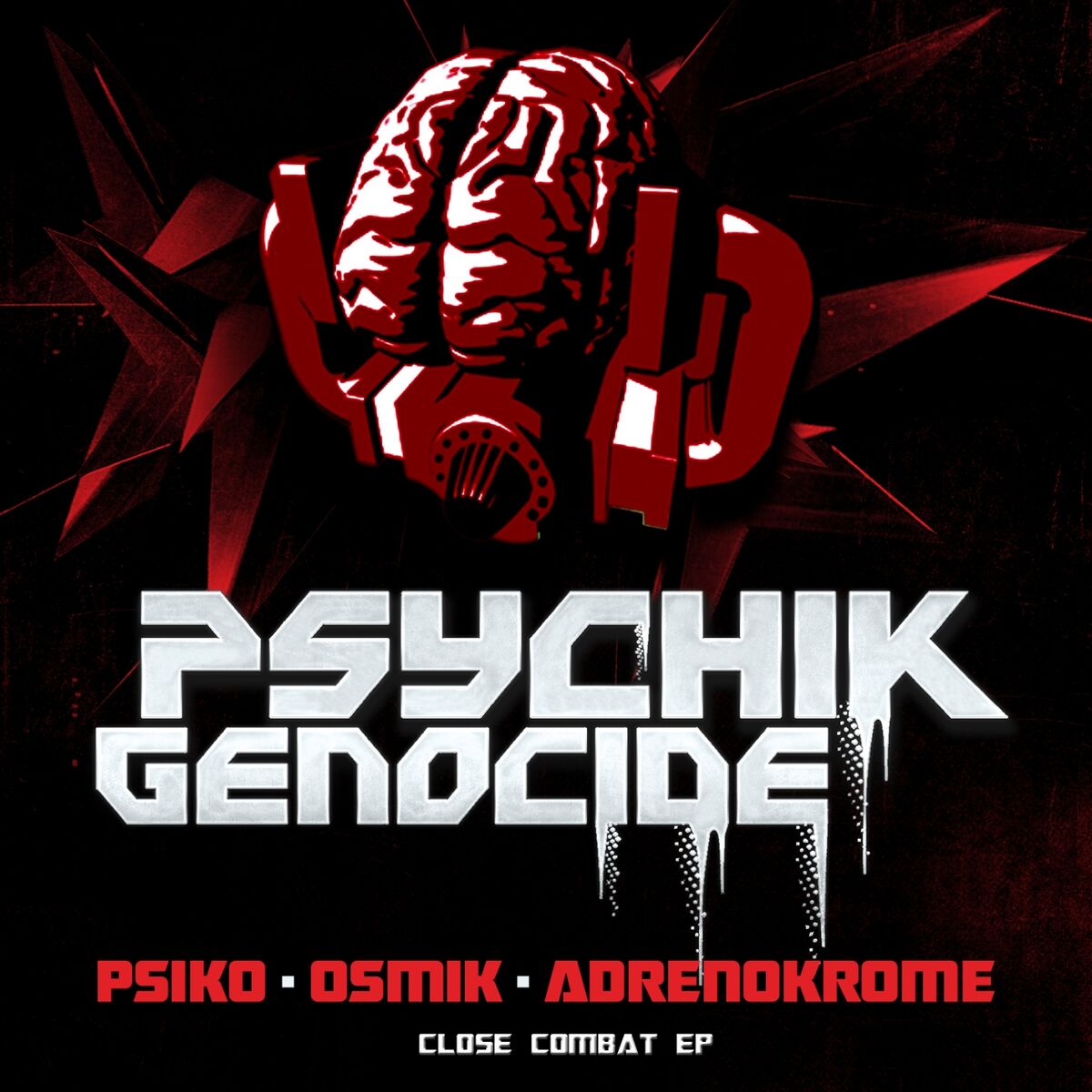 Album cover of Psikosmik