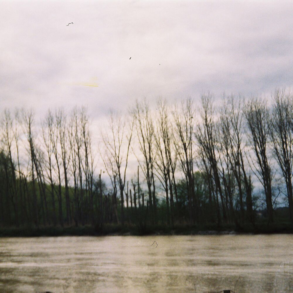 Picture of Il Fait Froid