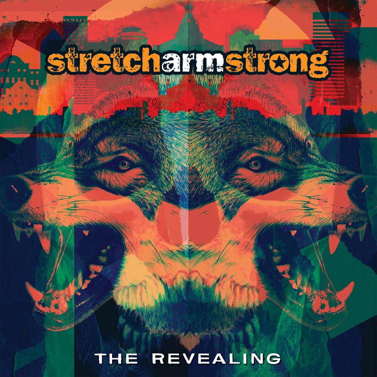 Album cover of The Revealing