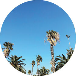 Cover of Soul Brother