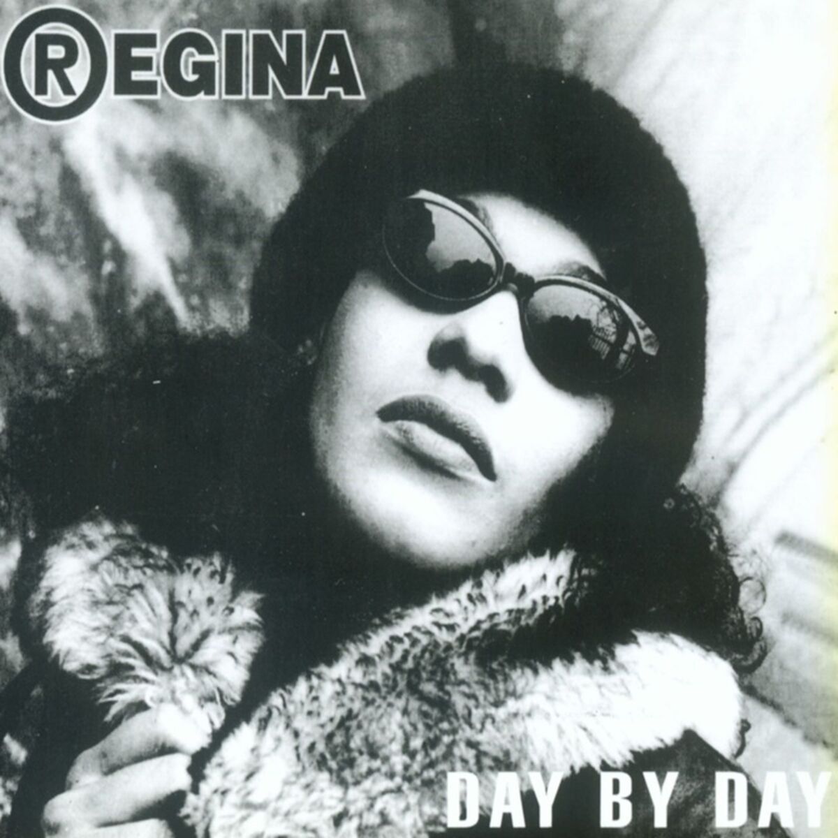 Album cover of Day by Day
