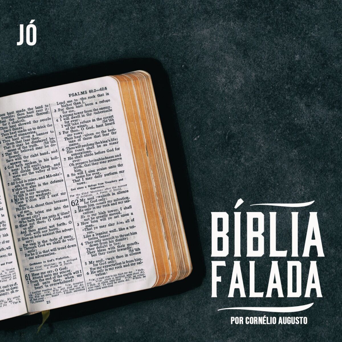 Album cover of Bíblia Falada: Jó