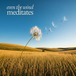Cover of Even the Wind Meditates by undefined