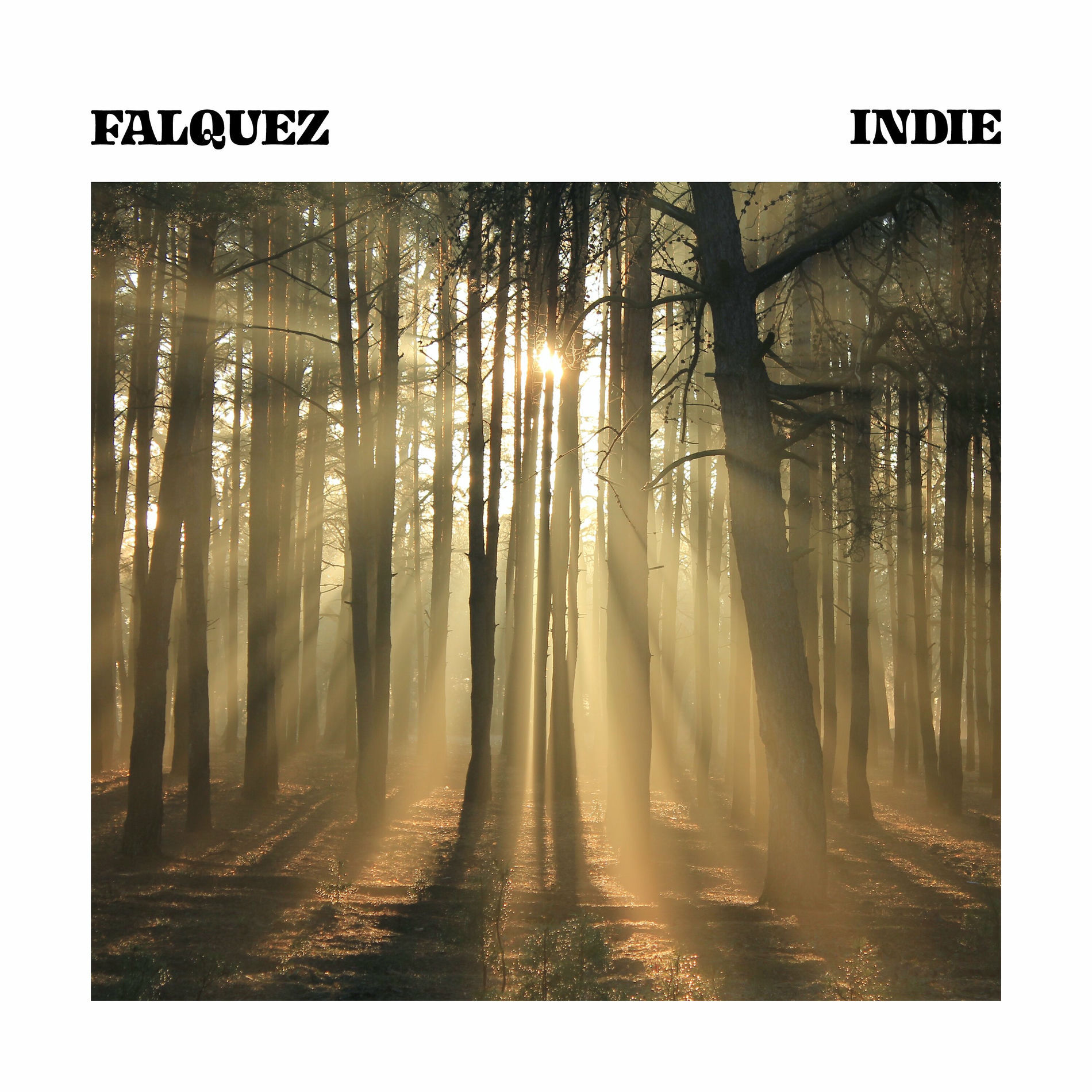 Album cover of Indie