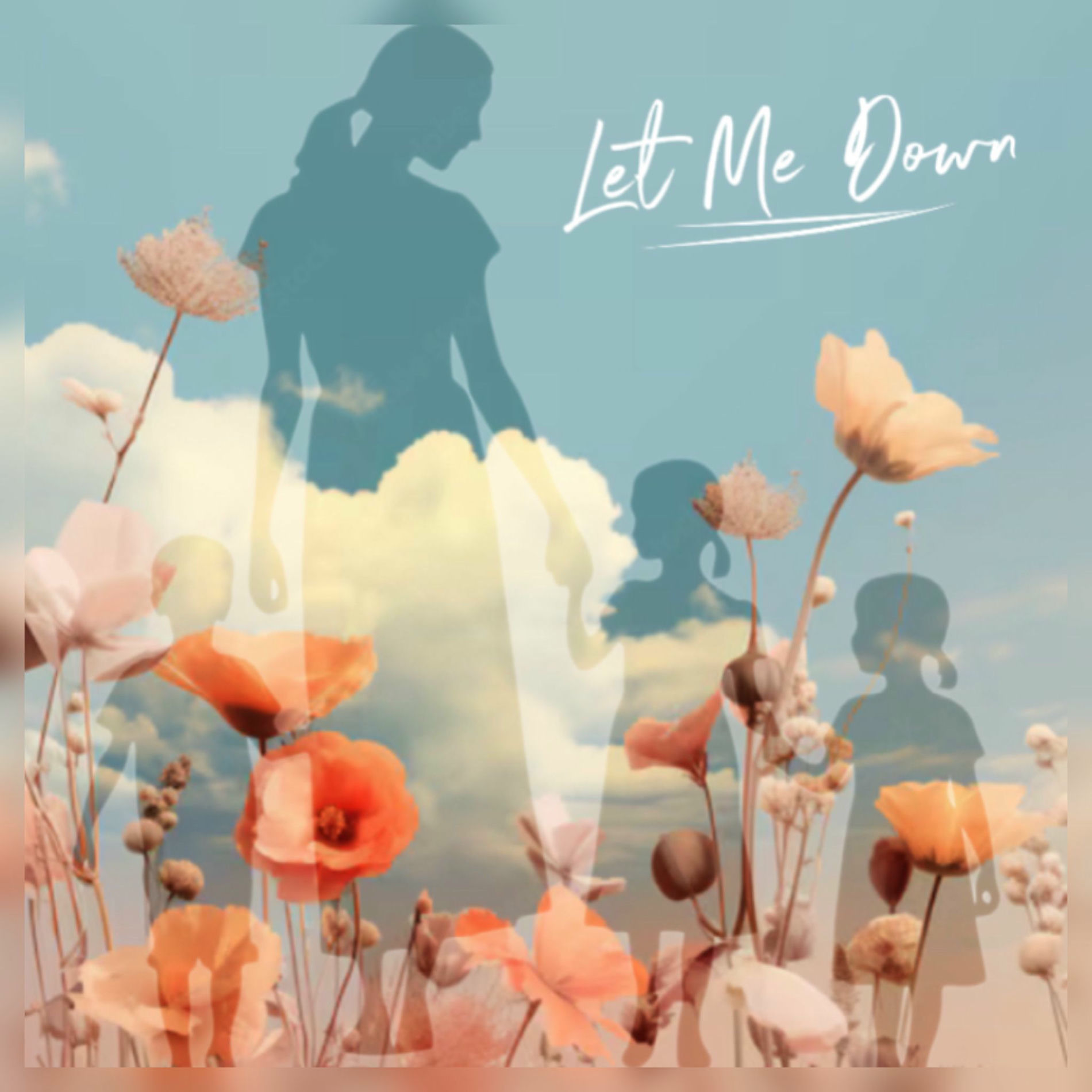 Album cover of Let Me Down