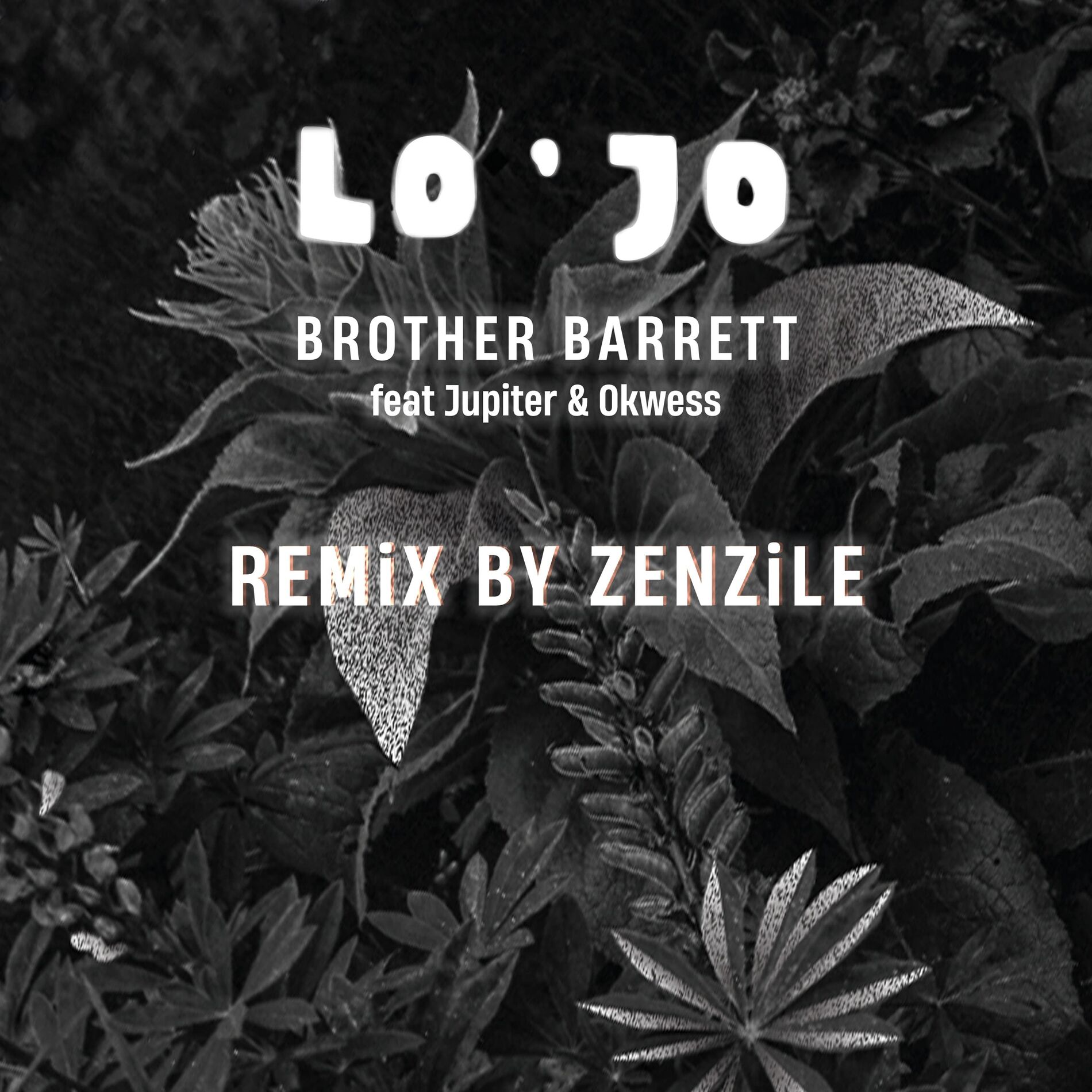 Album cover of Brother Barrett