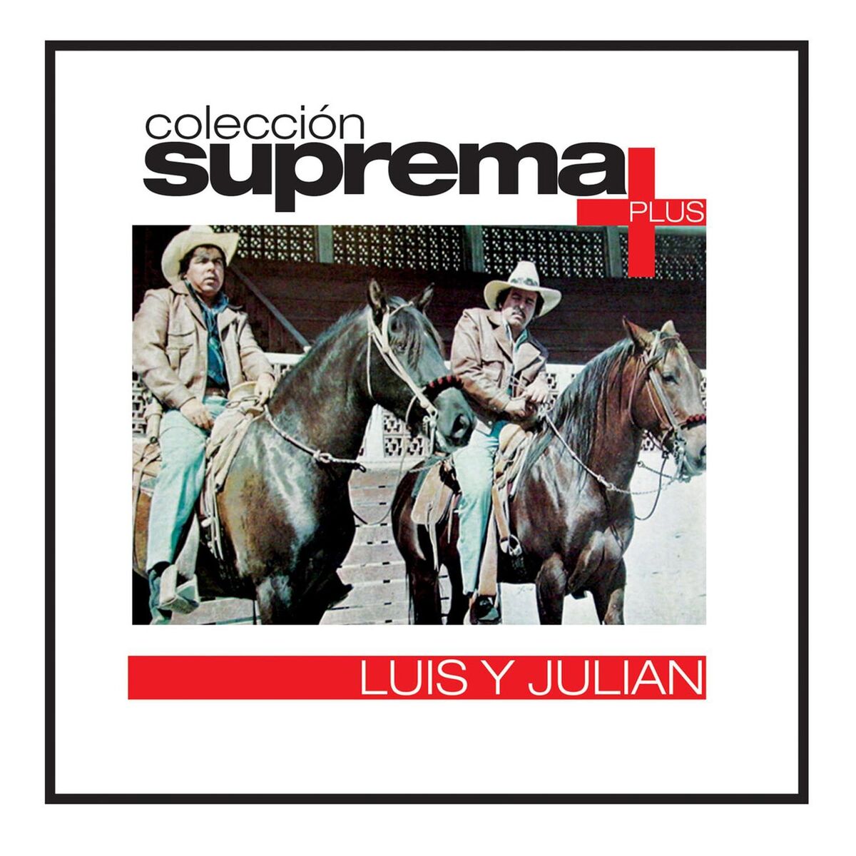 Album cover of Coleccion Suprema Plus- Luis Y Julian