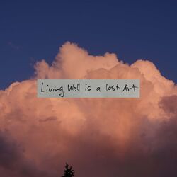 Cover of Living Well Is A Lost Art