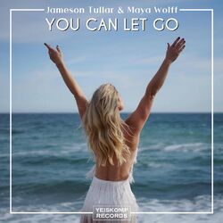 Cover of You Can Let Go
