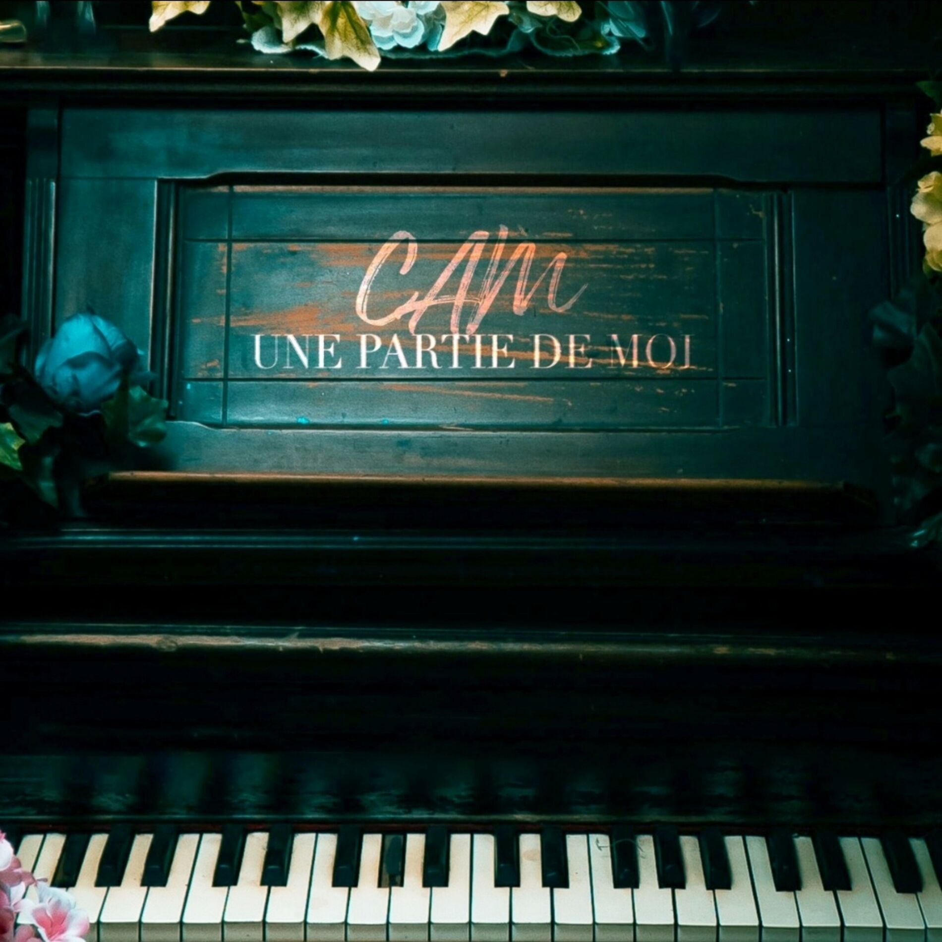 Album cover of Une partie de moi