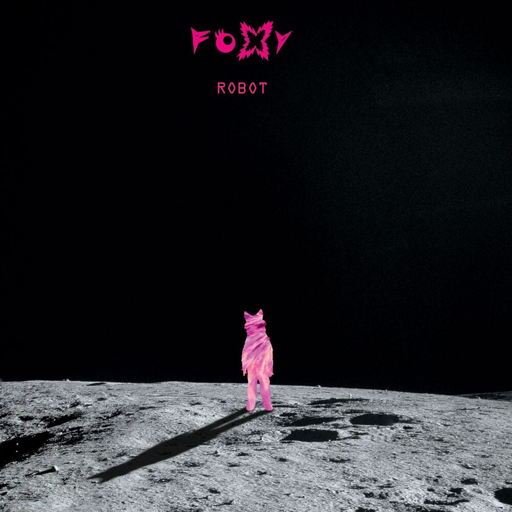 Picture of Robot