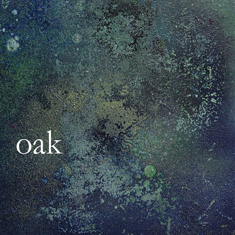 Picture of Oak