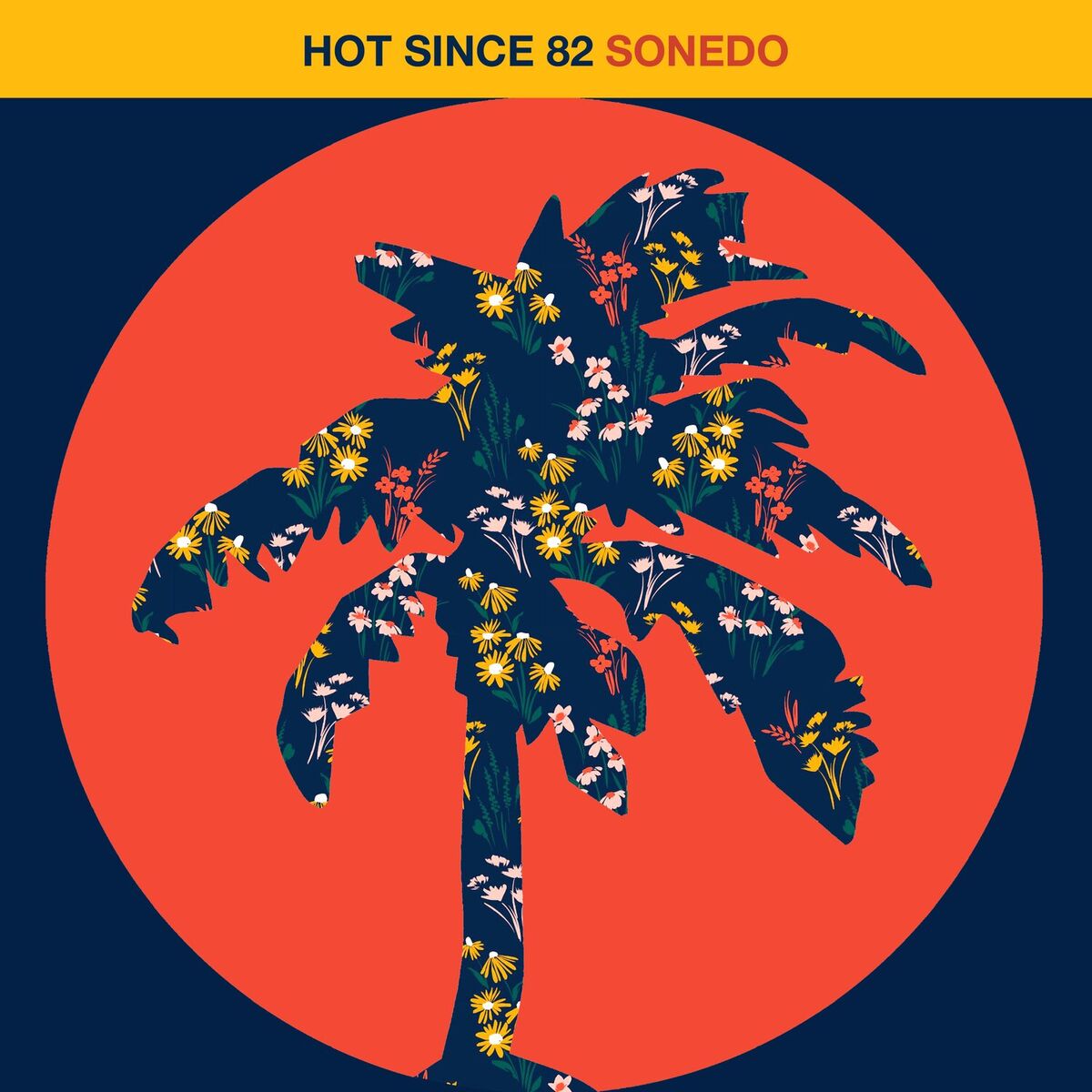 Album cover of Sonedo
