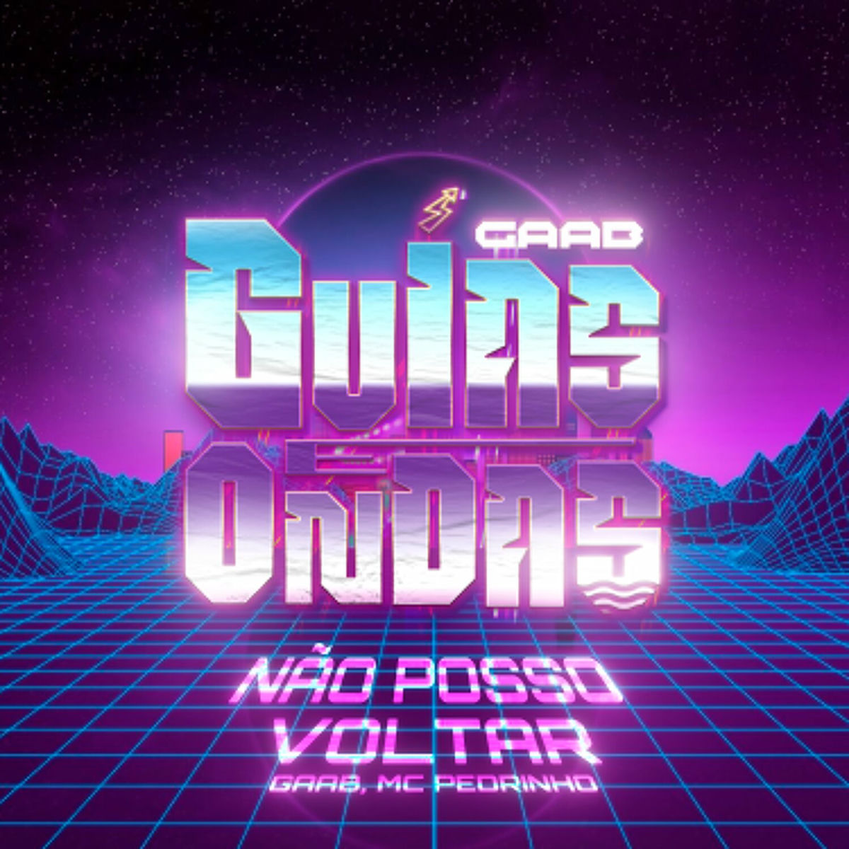 Album cover of Não Posso Voltar