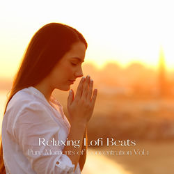 Cover of Relaxing Lofi Beats: Pure Moments of Concentration Vol. 1 by undefined