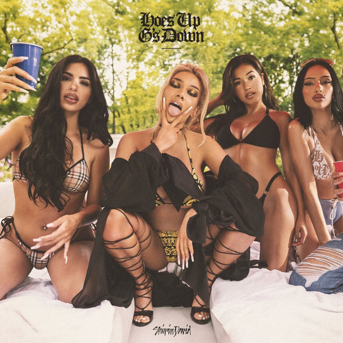 Album cover of HOES UP G'S DOWN