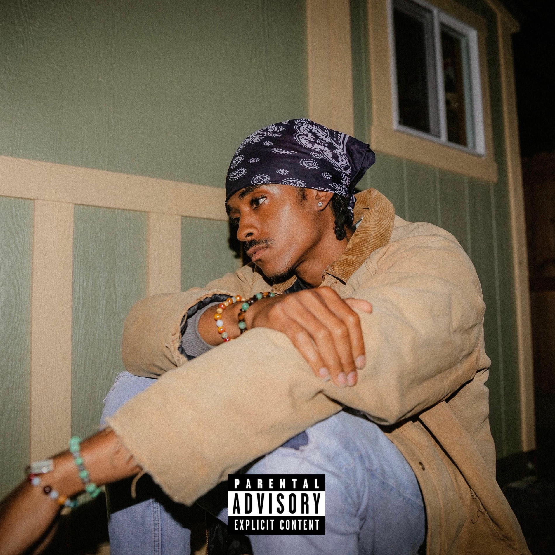 Album cover of Friends Do Fade