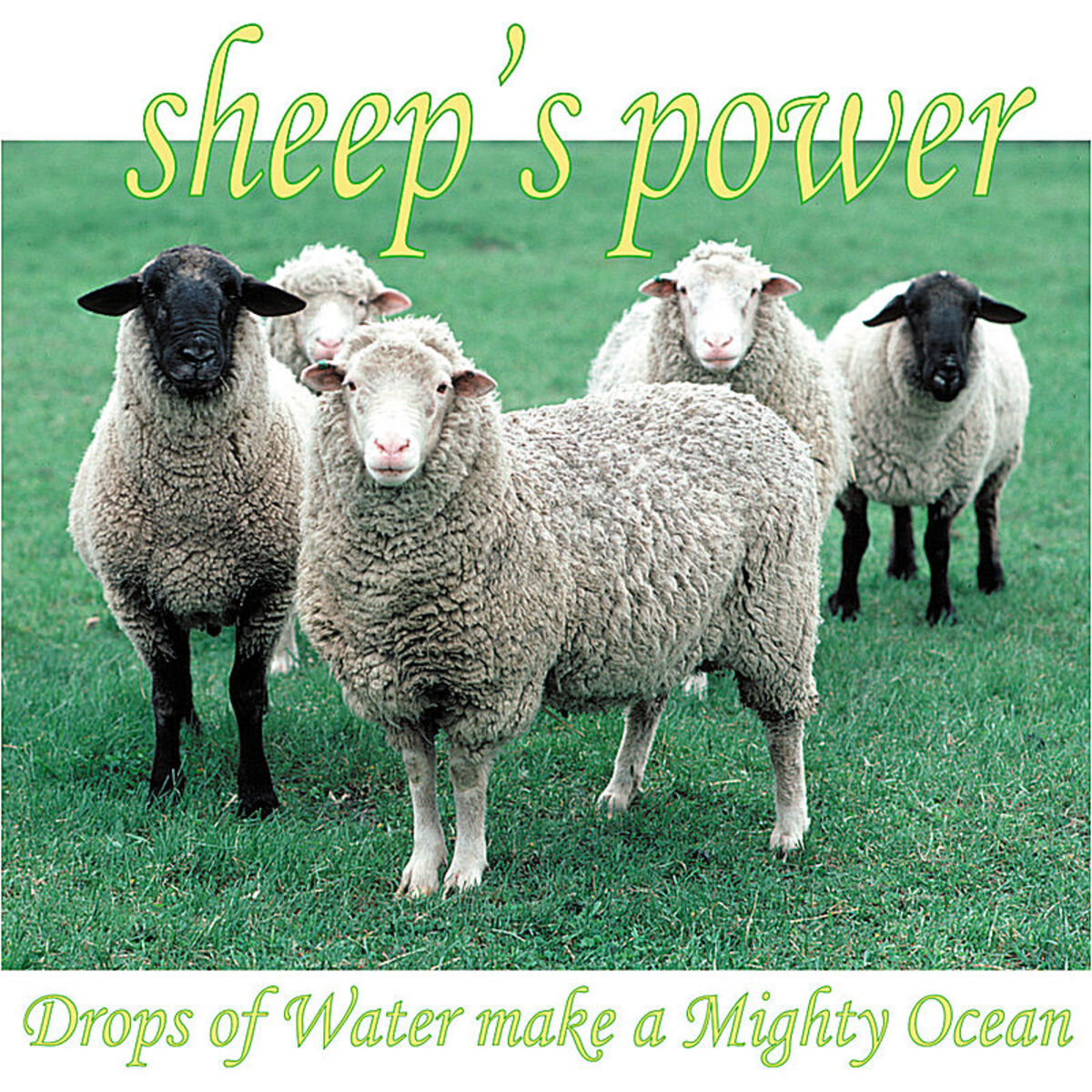 Album cover of Drops of Water Make a Mighty Ocean