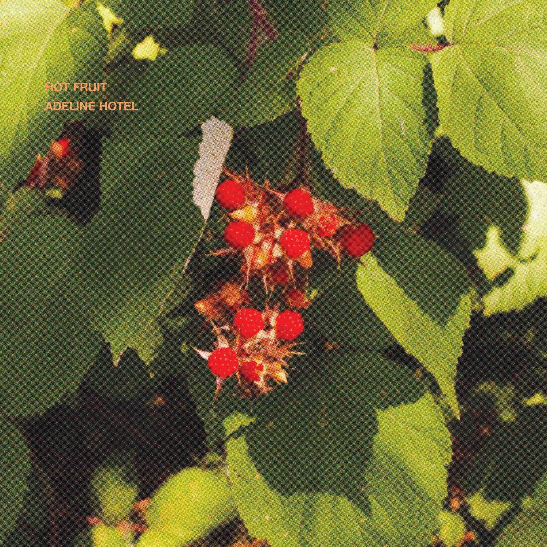 Album cover of Hot Fruit
