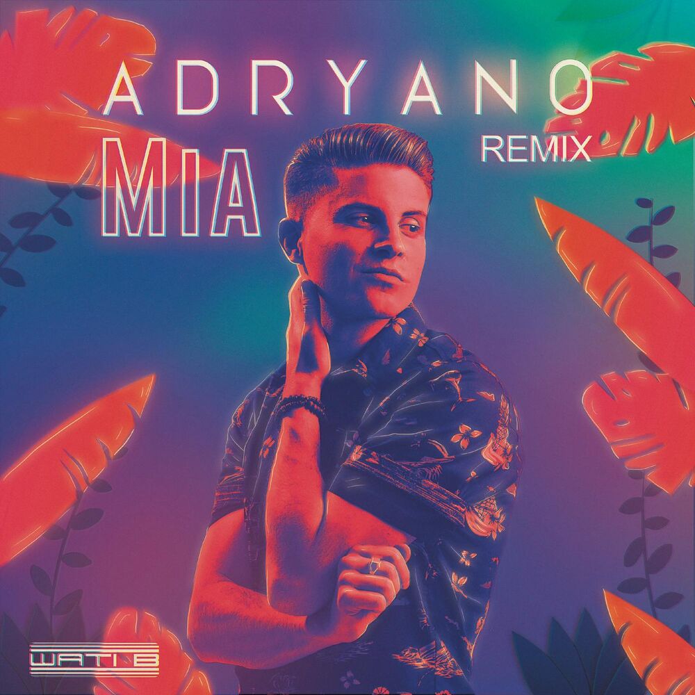 Picture of MIA (Remix)