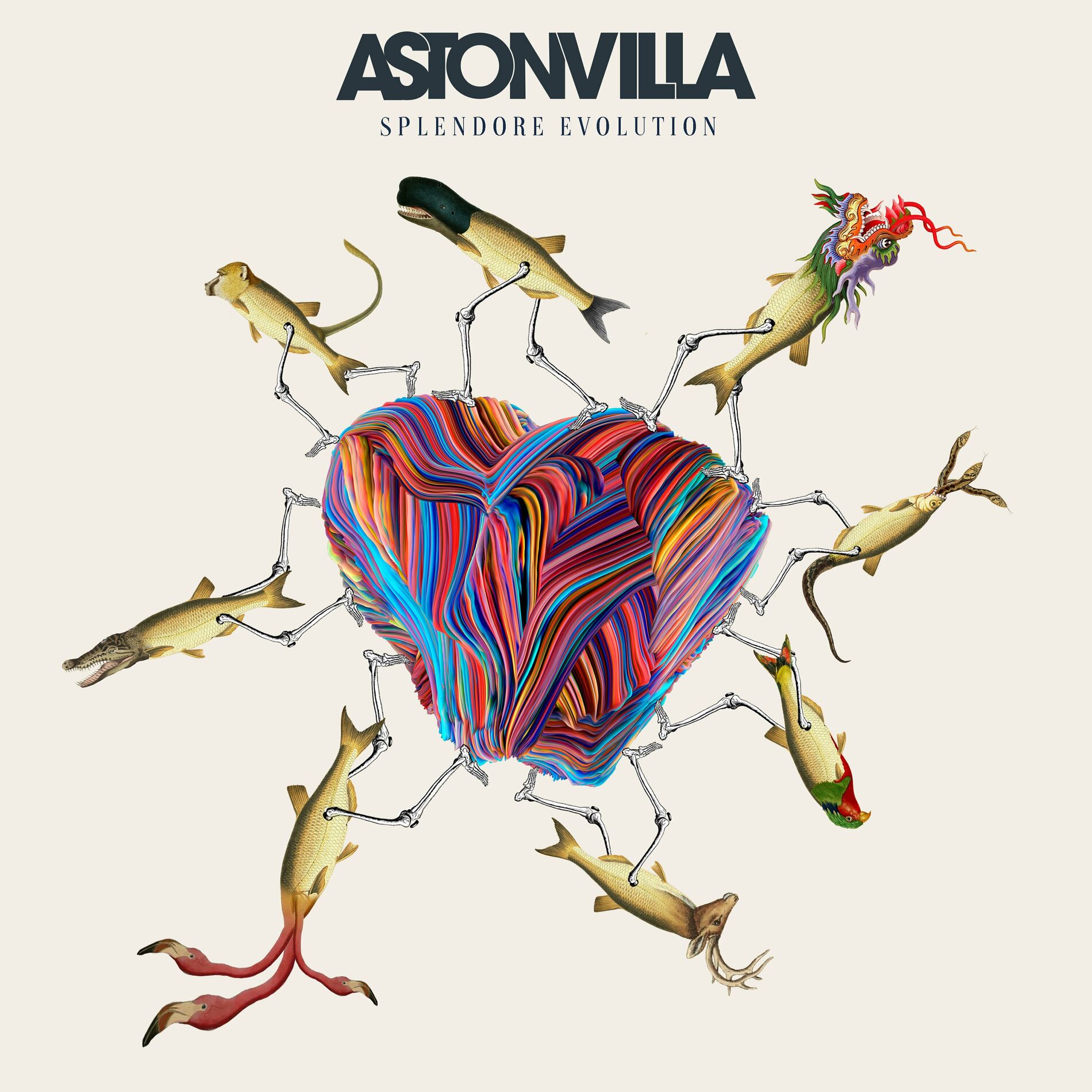 Album cover of Splendore Evolution