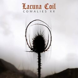 Cover of Comalies XX