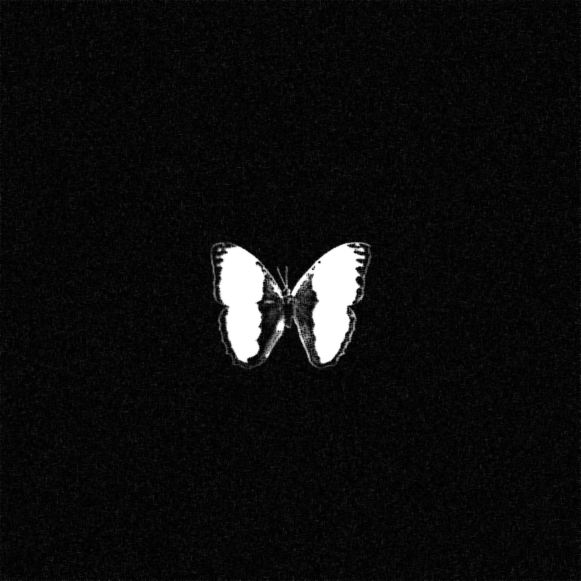 Album cover of May I... (feat. antihoney)
