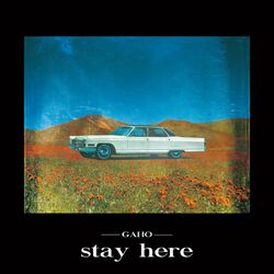 Cover of Stay Here
