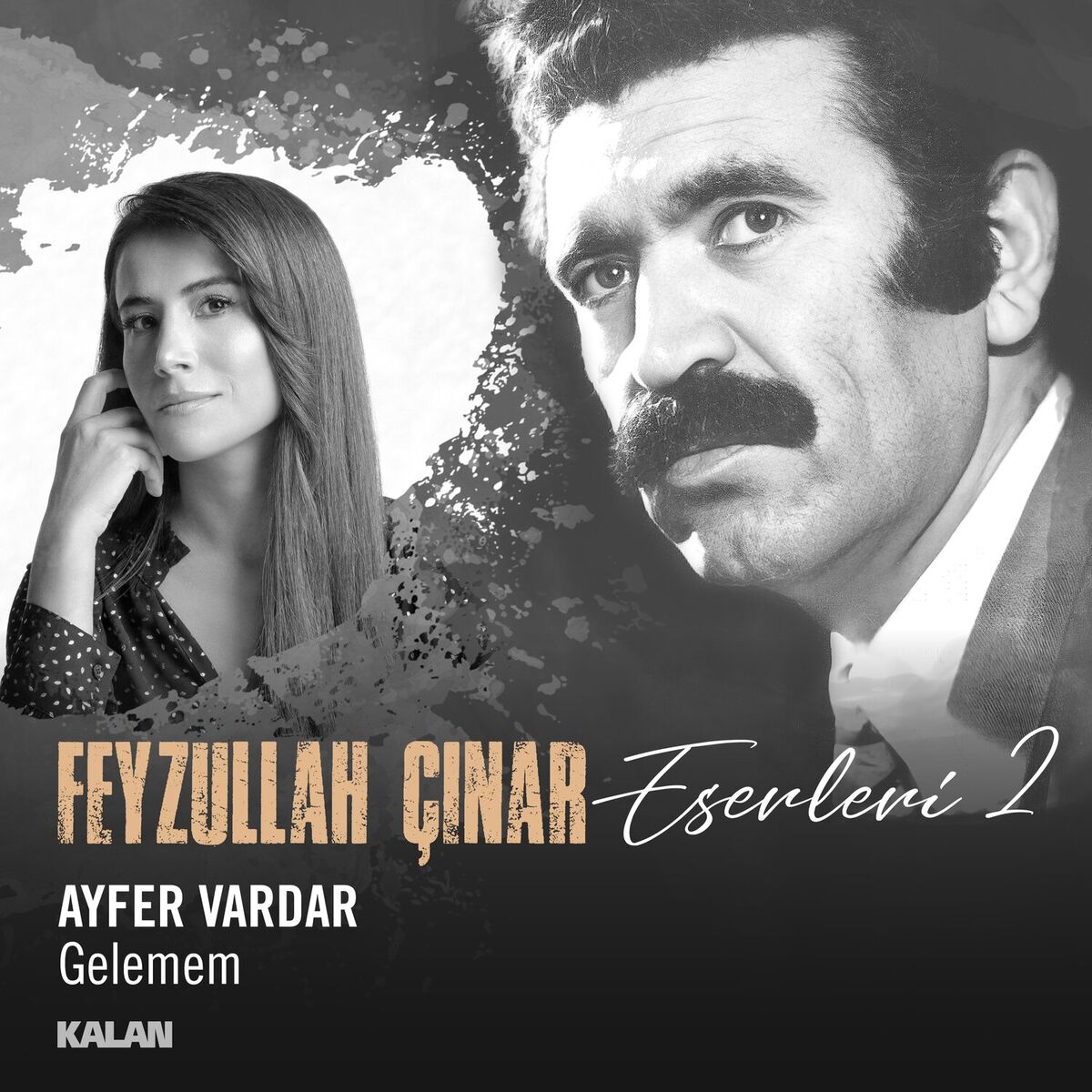 Album cover of Gelemem (Feyzullah Çınar Eserleri 2)