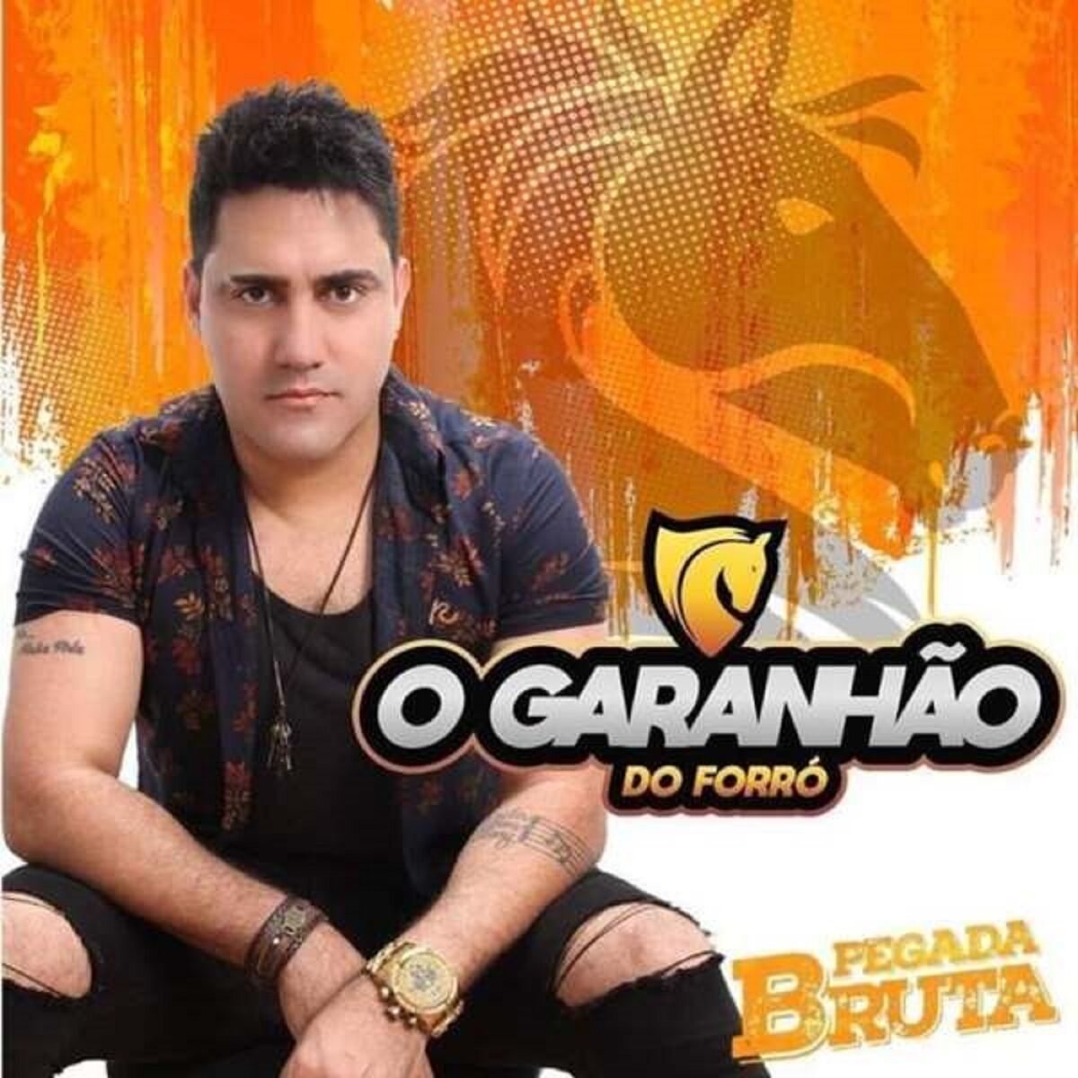 Album cover of Pegada Bruta