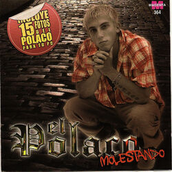 Cover of El polaco - Molestando