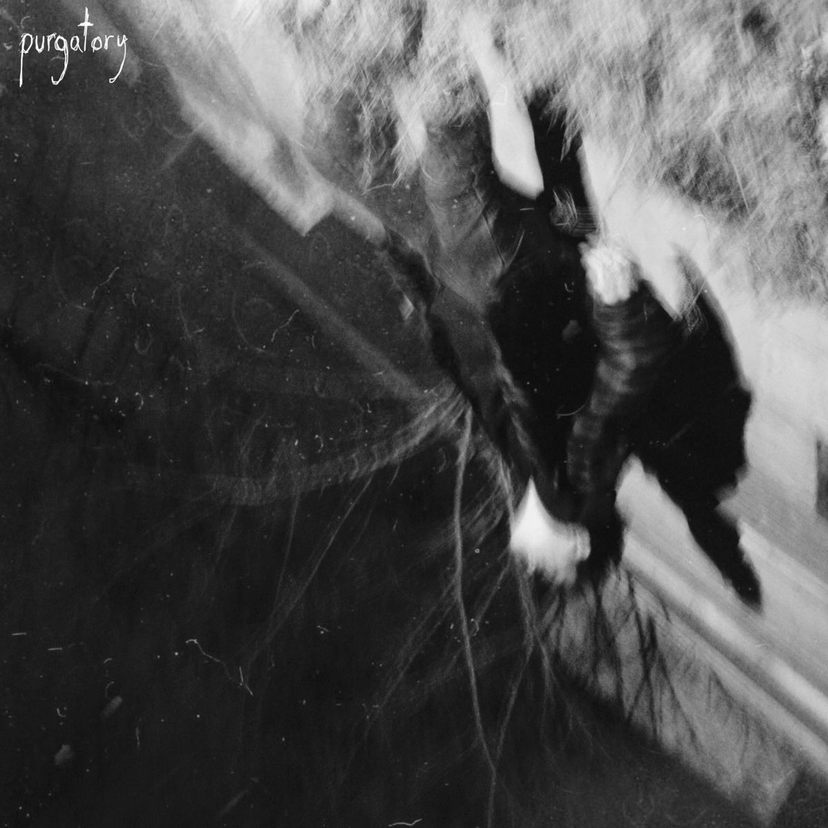 Album cover of Insects