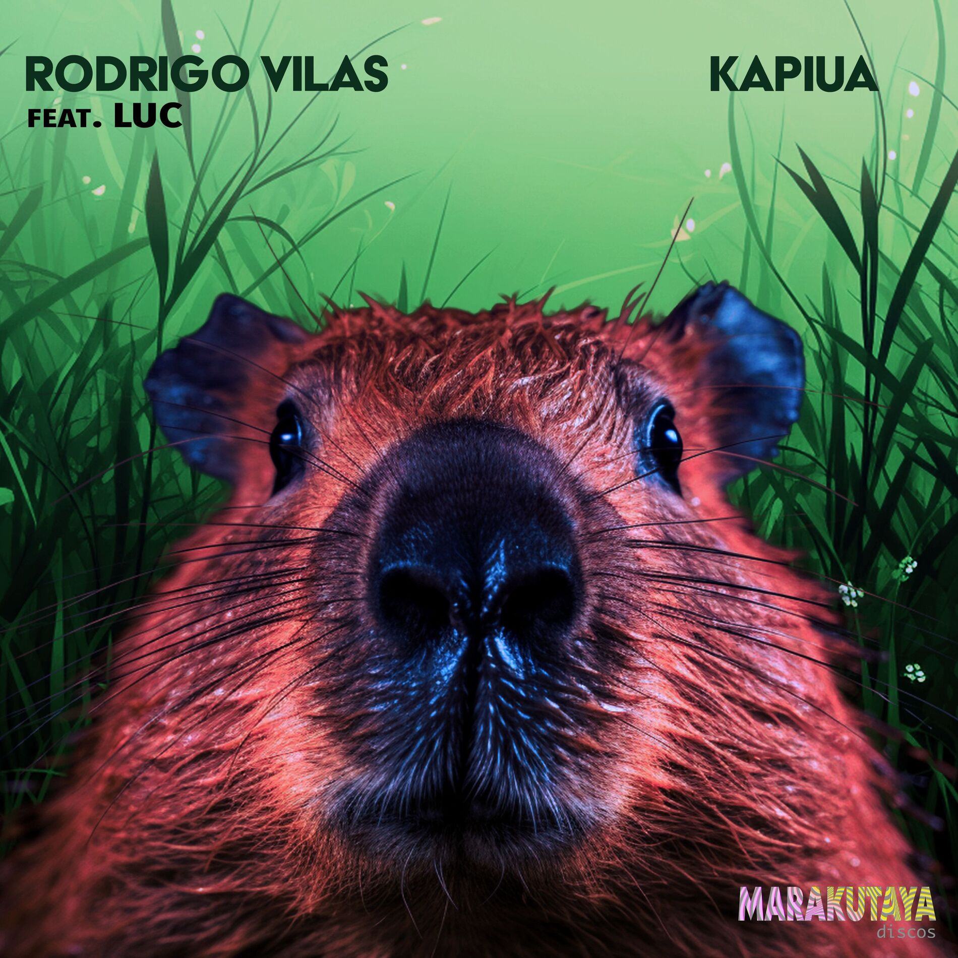 Album cover of Kapiua