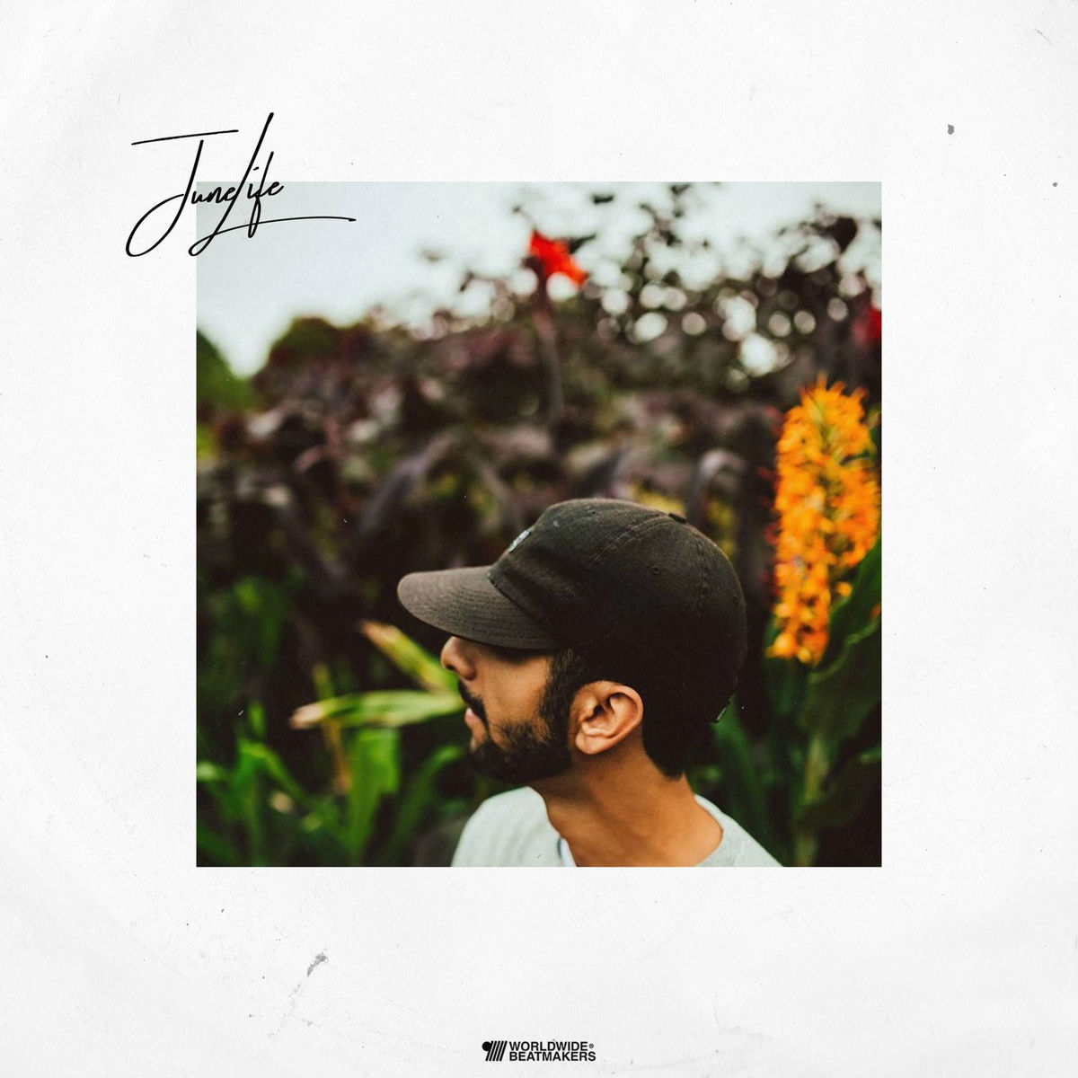 Album cover of Junelife