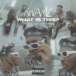Cover of What is this?