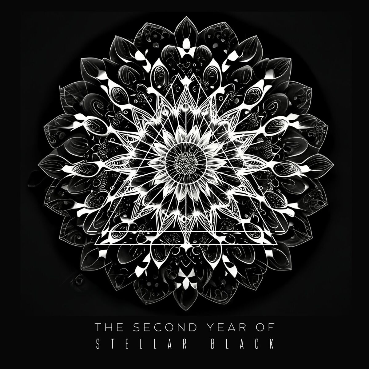 Album cover of The Second Year of Stellar Black