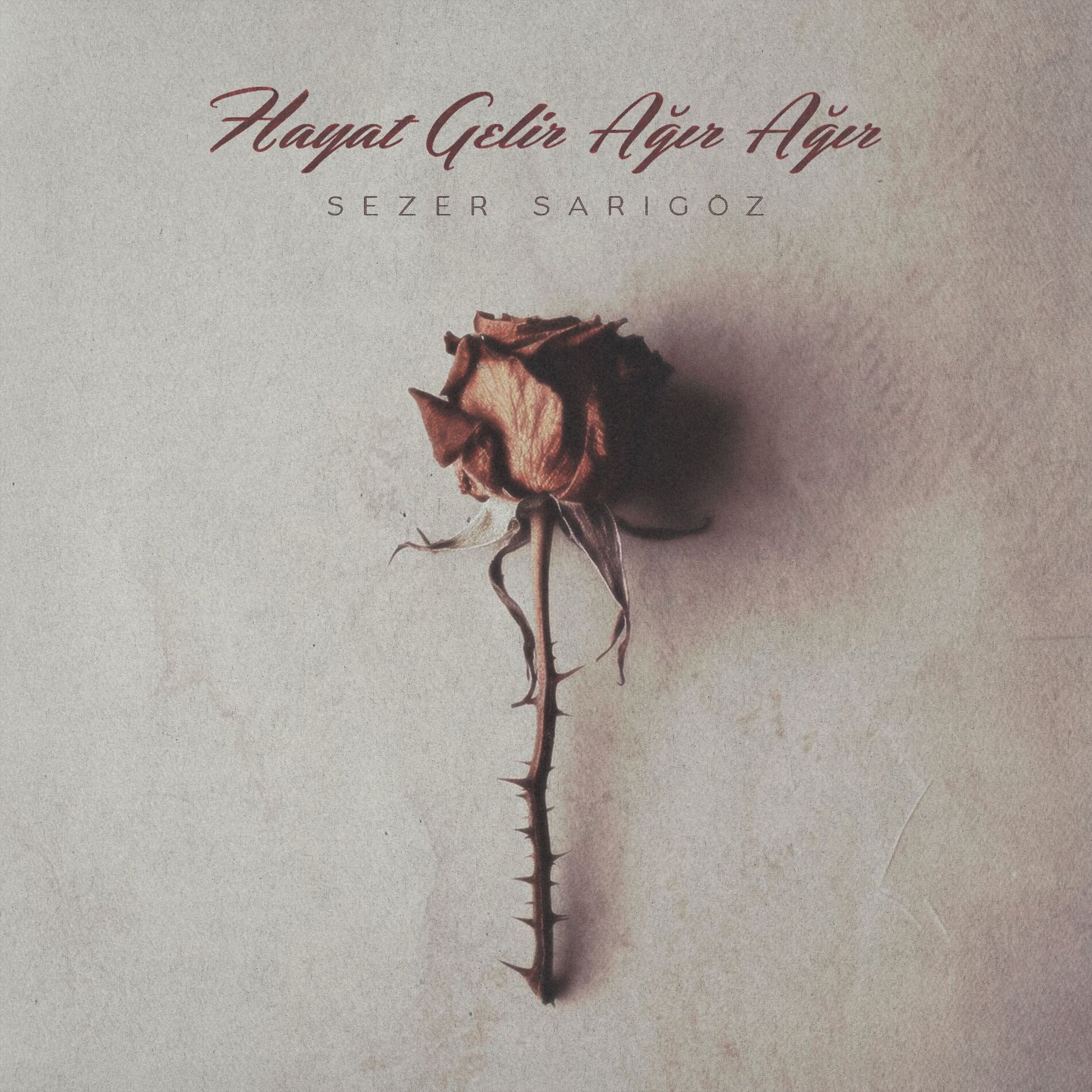 Album cover of Hayat Gelir Ağır Ağır