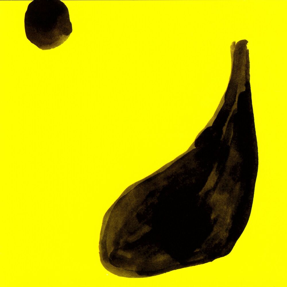 Picture of Flacana Flacana