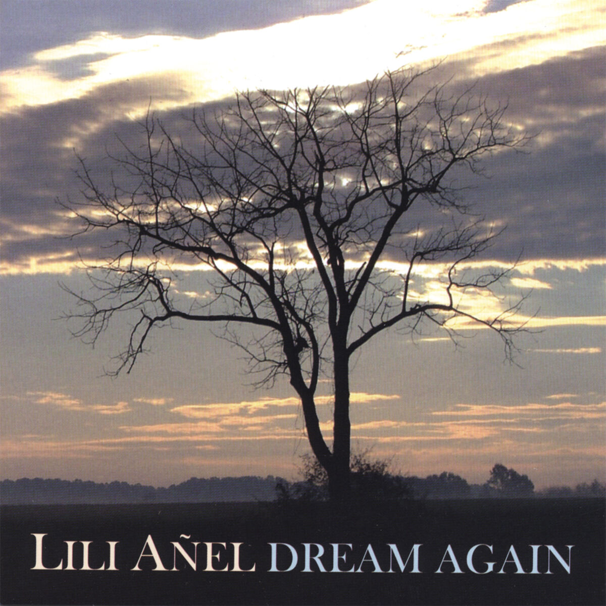 Album cover of Dream Again